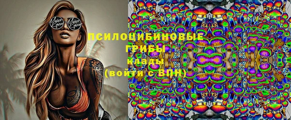 соль ск Балахна