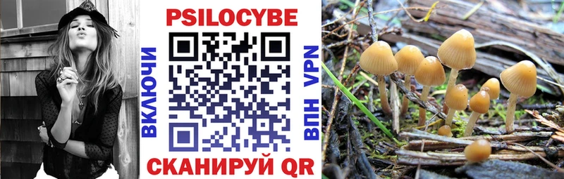 Галлюциногенные грибы Magic Shrooms  hydra маркетплейс  Талдом 