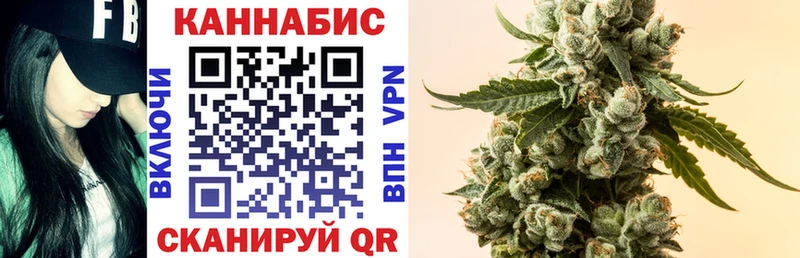 МАРИХУАНА план Талдом